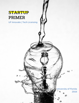 UF Innovate Startup Primer