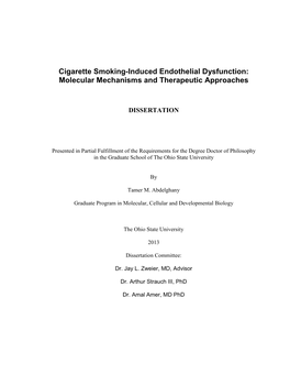 Cigarette Smoking-Induced Endothelial Dysfunction: Molecular Mechanisms and Therapeutic Approaches
