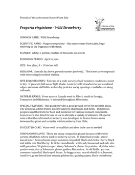 Fragaria Virginiana – Wild Strawberry