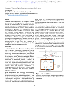 Dietary and Pharmacological Induction of Serine Synthesis Genes