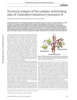 Swaminathan (Article)