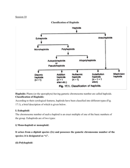 Having Gametic Chromosome Number Are Called Haploids