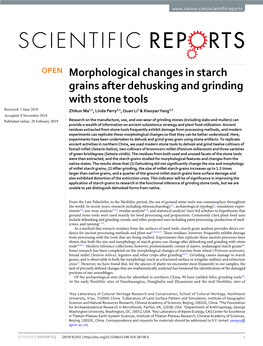 Morphological Changes in Starch Grains After Dehusking and Grinding