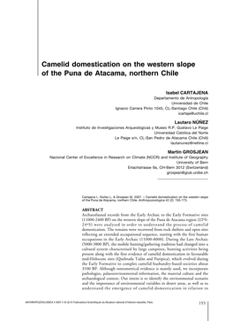 Camelid Domestication on the Western Slope of the Puna De Atacama, Northern Chile