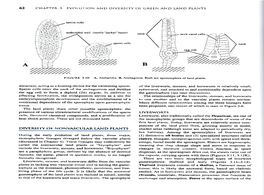 Attractant, Acting As a Homing Device for the Swimming Sperm. Sperm