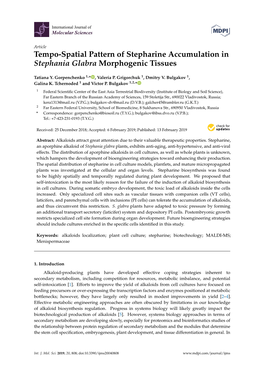 Tempo-Spatial Pattern of Stepharine Accumulation in Stephania Glabra Morphogenic Tissues