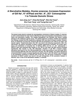 A Stenohaline Medaka, Oryzias Woworae, Increases Expression of Gill Na+, K+-Atpase and Na+, K+, 2Cl– Cotransporter 1 to Tolerate Osmotic Stress