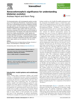 Xenacoelomorpha's Significance for Understanding Bilaterian Evolution