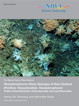 Hexasterophoran Glass Sponges of New Zealand (Porifera: Hexactinellida: Hexasterophora): Orders Hexactinosida, Aulocalycoida and Lychniscosida