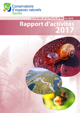 Rapport D'activités