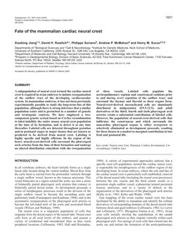 Fate of the Mammalian Cardiac Neural Crest