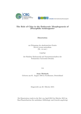The Role of Cdep in the Embryonic Morphogenesis of Drosophila Melanogaster