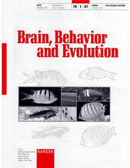 Gonadotropin-Releasing Hormone and Receptor Distributions in the Visual Processing Regions of Four Coral Reef Fishes