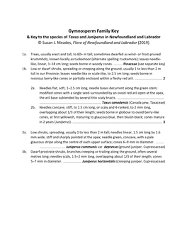 Gymnosperm Key & Charts