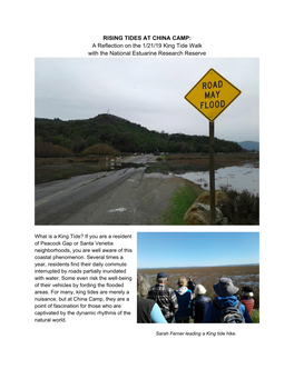 King Tide Hike for Newsletter 1 21 19