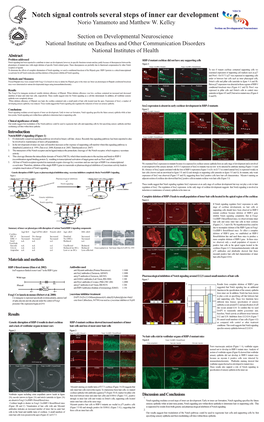 Notch Signal Controls Several Steps of Inner Ear Development Norio Yamamoto and Matthew W