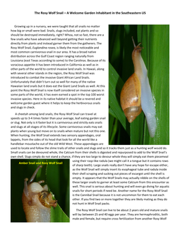 The Rosy Wolf Snail – a Welcome Garden Inhabitant in the Southeastern US