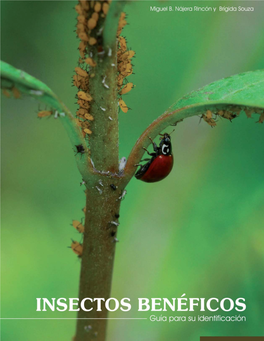 Guía Para La Identificación De Insectos Benéficos