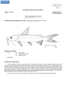 ARIID Ariu 29 1983 FAO SPECIES IDENTIFICATION SHEETS FAMILY