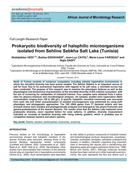 Prokaryotic Biodiversity of Halophilic Microorganisms Isolated from Sehline Sebkha Salt Lake (Tunisia)