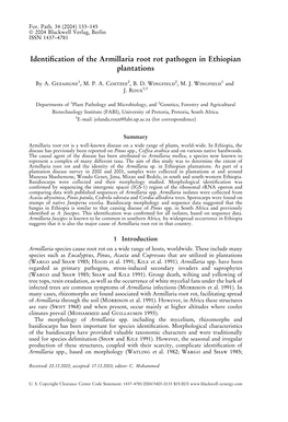 Identification of the Armillaria Root Rot Pathogen in Ethiopian