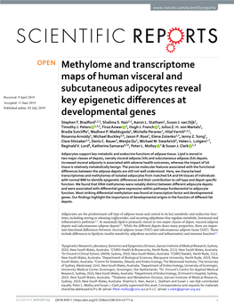 Methylome and Transcriptome Maps of Human Visceral and Subcutaneous