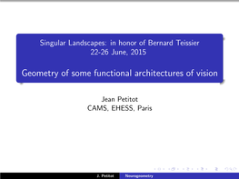 Geometry of Some Functional Architectures of Vision