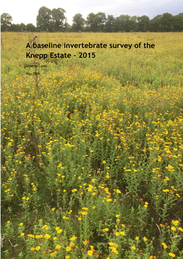 A Baseline Invertebrate Survey of the Knepp Estate - 2015