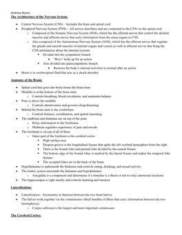 Andrew Rosen the Architecture of the Nervous System: • Central Nervous