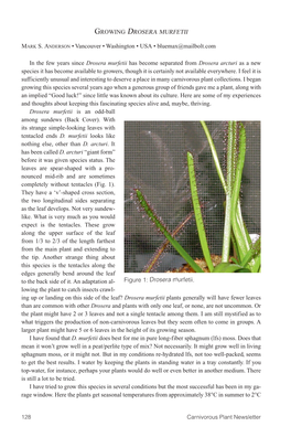 Carnivorous Plant Newsletter Vol 48 No 3 September 2019