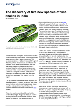 The Discovery of Five New Species of Vine Snakes in India 16 November 2020