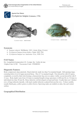 Species Fact Sheets Cyclopterus Lumpus (Linnaeus, 1758)