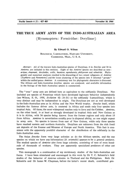 THE TRUE ARMY ANTS of the INDO-AUSTRALIAN AREA (Hymenoptera: Formicidae: Dorylinae)