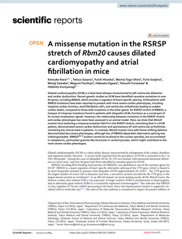 A Missense Mutation in the RSRSP Stretch of Rbm20 Causes Dilated