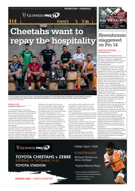 Cheetahs Want to Repay the Hospitality