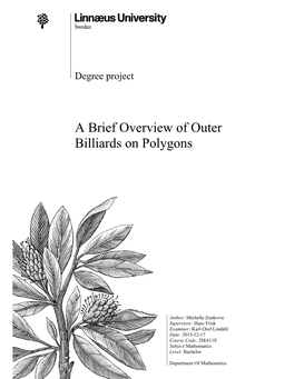 A Brief Overview of Outer Billiards on Polygons