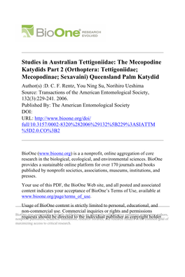 Studies in Australian Tettigoniidae: the Mecopodine Katydids Part 2 (Orthoptera: Tettigoniidae; Mecopodinae; Sexavaini) Queensland Palm Katydid Author(S) :D
