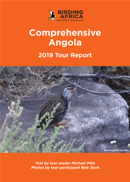 Comprehensive Angola 2019 Tour Report