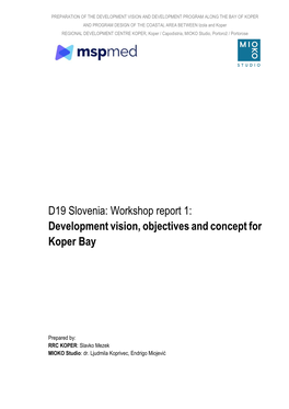 D19 Slovenia: Workshop Report 1: Development Vision, Objectives and Concept For