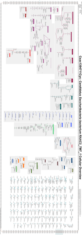 Generate Metabolic Map Poster