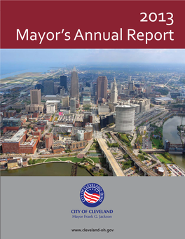 Mayor's Annual Report