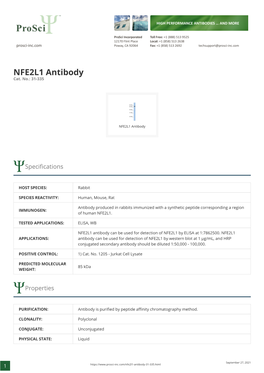 NFE2L1 Antibody Cat