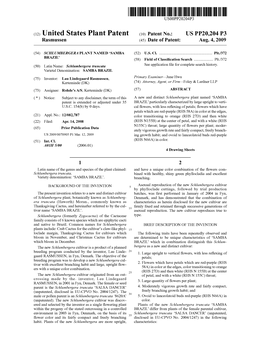 (12) United States Plant Patent (10) Patent No.: US PP20,204 P3 Rasmussen (45) Date of Patent: Aug