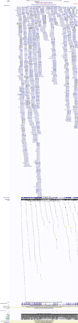 Alt Haplotypes Refseq Curated Sequences Snps Dnase Clusters