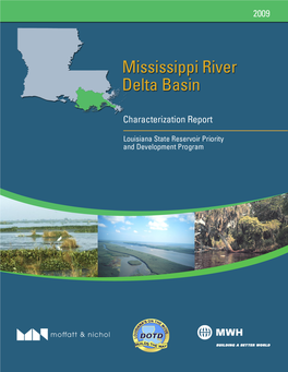 Mississippi River Delta Basinn