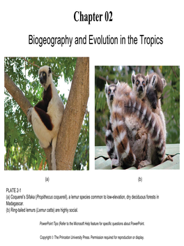 Chapter 02 Biogeography and Evolution in the Tropics