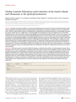 Chepep Controls Helicobacter Pylori Infection of the Gastric Glands and Chemotaxis in the Epsilonproteobacteria