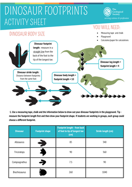 Dinosaur Footprints