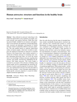 Human Astrocytes: Structure and Functions in the Healthy Brain