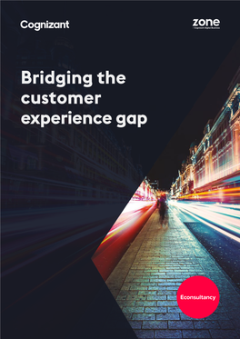 Cognizant—Bridging the Customer Experience Gap Report